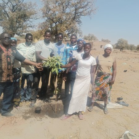 Projet de promotion du procédé Irrigasc dans la plantation d’arbres en association avec la culture du manioc, du melon,  de la pastèque...